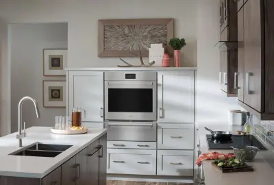 Wolf Built-In Ovens